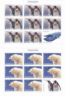 FAUNA POLARA, MINISHEET,2007,MNH. foto