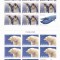 FAUNA POLARA, MINISHEET,2007,MNH.