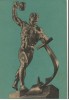 CPI (B8766) CARTE POSTALA - E. VUCETICI - SA PREFACEM SABIILE IN PLUGURI, RPR, Necirculata, Fotografie
