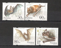 Polonia.1997 Animale-Lilieci SP.621 foto