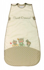 Sac de dormit Sweet Dreams 6-18 luni 2.5 Tog foto