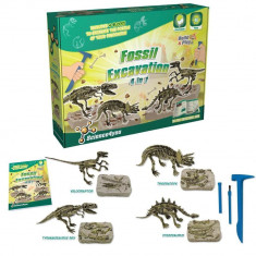 Set paleontologie - 4 in 1 foto