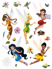 Stickere perete Disney - Zane - Tinkerbell foto