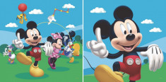 Perna decorativa Mickey Mouse foto