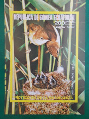 Guinea Ec. pasari - colita nedantelata nestampilata MNH foto