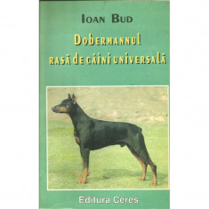 Dobermannul rasa de caini universala- Ioan Bud foto