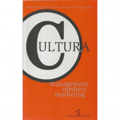 Cultura. Management, mediere, marketing - Milena Dragicevici-Sesici, Branimir Stojkovici foto