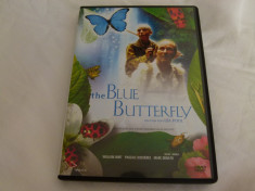 The blue butterflay - dvd foto