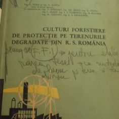 CULTURI FORESTRIERE DE PROTECTIE PE TERENURILE DEGRADATE DIN ROMANIA