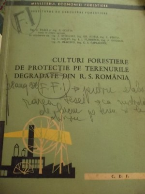 CULTURI FORESTRIERE DE PROTECTIE PE TERENURILE DEGRADATE DIN ROMANIA foto