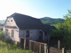 Vand Casa plus teren in Copsa Mica foto