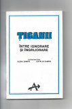 Tiganii intre ignorare si ingrijorare ed. Alternative Bucuresti 1993