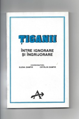 Tiganii intre ignorare si ingrijorare ed. Alternative Bucuresti 1993 foto