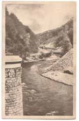 Valea Jiului 1956 - vedere foto