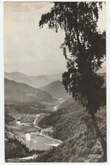 Voineasa 1966 - Valea Lotrului foto