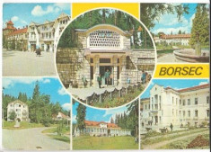 Borsec 1973 - mozaic foto