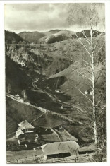 Dambovicioara 1968 - Valea Brusturetului foto