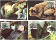 Vietnam 1987 - Fauna WWF, maimute, serie maxime foto