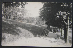 Resita - Parc, aprox. 1930 foto