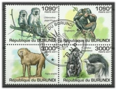 BURUNDI 2011 - MAIMUTE 2 - SERIE STAMPILATA foto