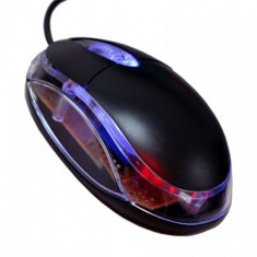 Mouse optic cu USB Intex foto