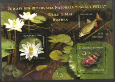 2008 - rezervatia Paraul Petea, bloc stampilata foto