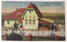 Targu Mures (Marosvasarhely) - Chioscul secuiesc 1923 circ. foto