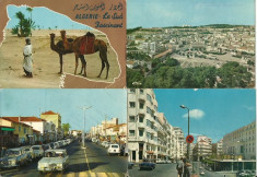 Algeria - lot 4 carti postale circulate foto