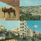 Algeria - lot 4 carti postale circulate