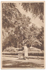 Buzias 1958 - vedere din parc foto