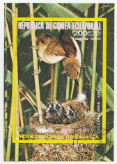 Guinea Ecuatoriala 1976 - pasari Asia, colita ndt stampilata foto
