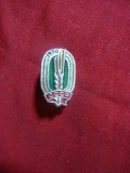 Insigna Agricultura URSS 1970 , metal si email , h=2cm