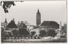 Baia Mare 1960 - vedere foto