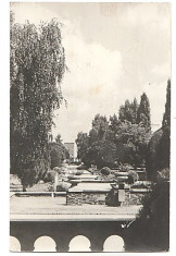 Satu Mare 1969 - parcul foto