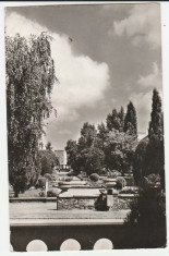 Satu Mare 1966 - parcul foto
