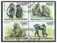 BURUNDI 2011 - MAIMUTE 1 - SERIE STAMPILATA foto