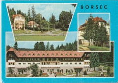 Borsec 1976 - mozaic foto