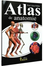 Atlas de anatomie foto