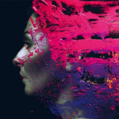 Steven Wilson - Hand.Cannot.Erase -Hq- ( 2 VINYL ) foto