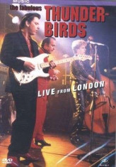 Fabulous Thunderbirds - Live From London ( 1 DVD ) foto