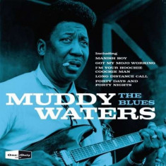 Muddy Waters - Blues ( 1 CD ) foto