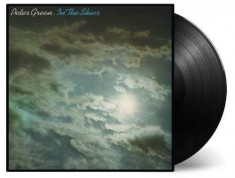 Peter Green - In the Skies ( 1 VINYL ) foto