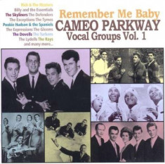 Various Artists - Remember Me Baby-Cameo Parkway Vocal Groups Vol. ( 1 CD ) foto