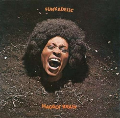 Funkadelic - Maggot Brain -Hq- ( 1 VINYL ) foto