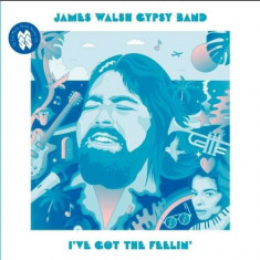 James Walsh Gypsy Band - I&amp;#039;ve Got the Feeling ( 1 VINYL ) foto