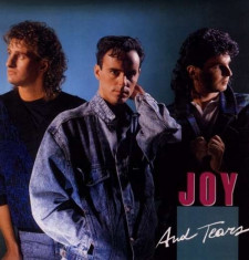 Joy - Joy &amp;amp;amp; Tears ( 1 VINYL ) foto
