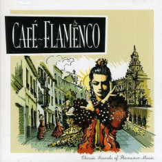 Artisti Diversi - Cafe Flamenco ( 1 CD ) foto