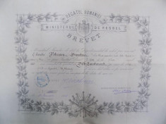 Regatul Romaniei, Ministerul de Resbel, Brevet 1884 semnat I. C. Bratianu foto