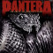 Pantera - Great Southern Outtakes ( 1 VINYL )