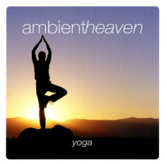 Artisti Diversi - Yoga ( 1 CD ) foto